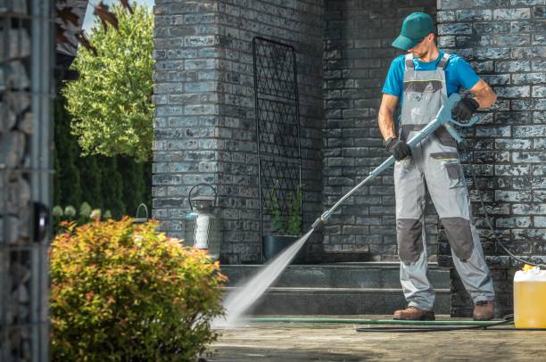 Best Animal Enclosure Cleaning  in Waynesville, OH